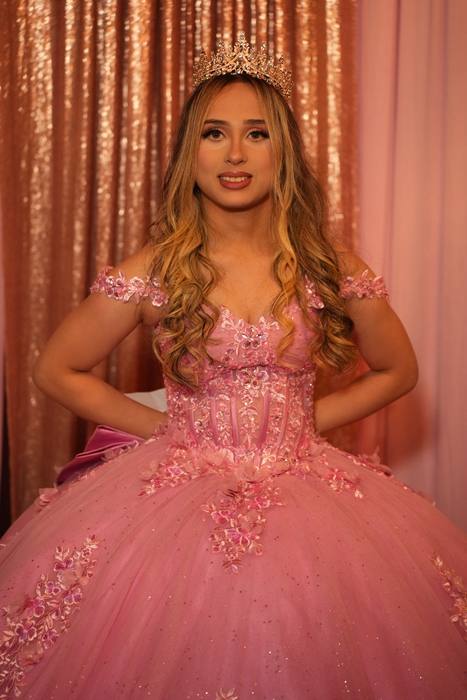 Foto de los XV años de Michell