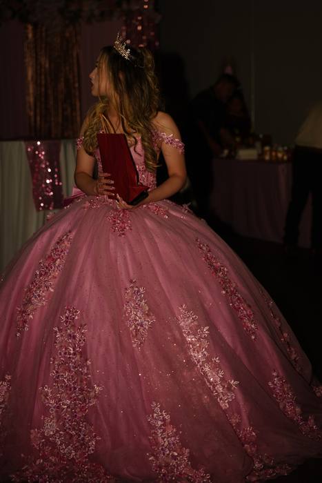 Foto de los XV años de Michell
