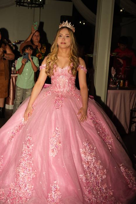 Foto de los XV años de Michell