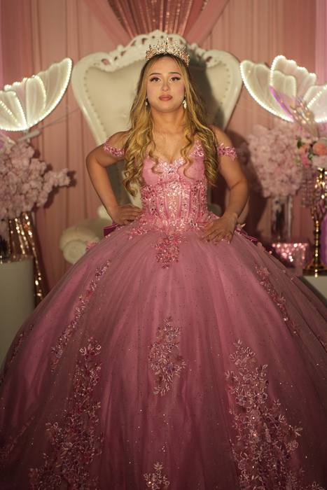 Foto de los XV años de Michell