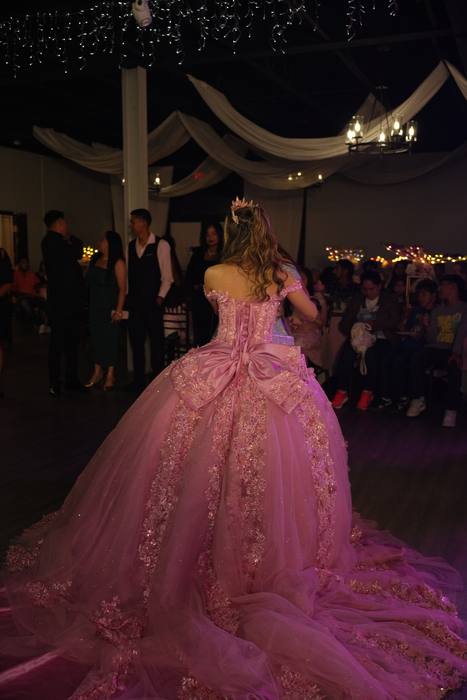 Foto de los XV años de Michell