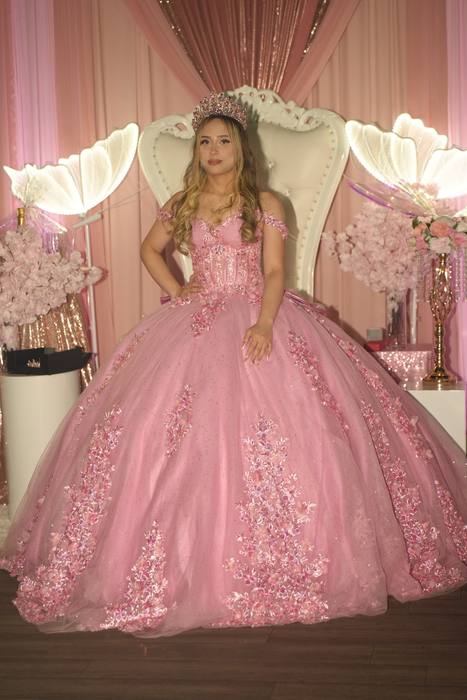 Foto de los XV años de Michell