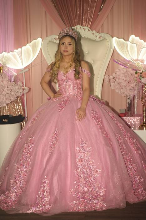 Foto de los XV años de Michell