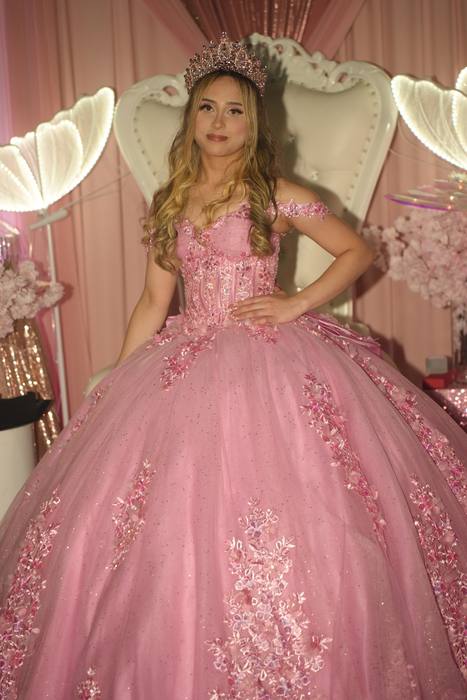 Foto de los XV años de Michell