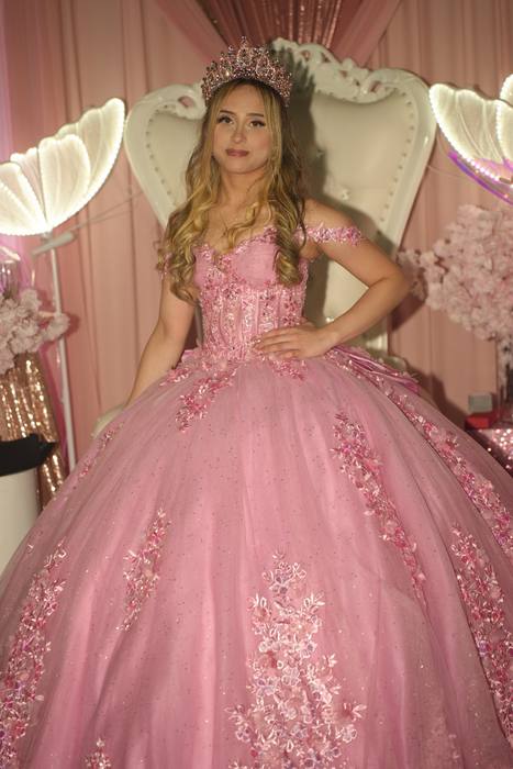 Foto de los XV años de Michell
