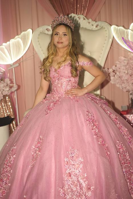 Foto de los XV años de Michell
