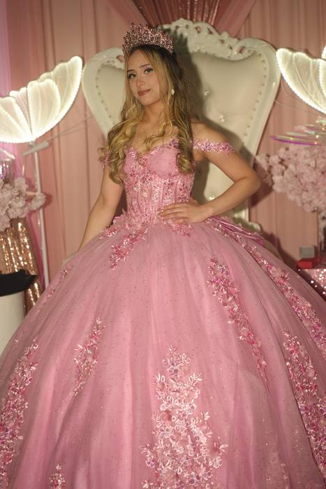 Foto de los XV años de Michell