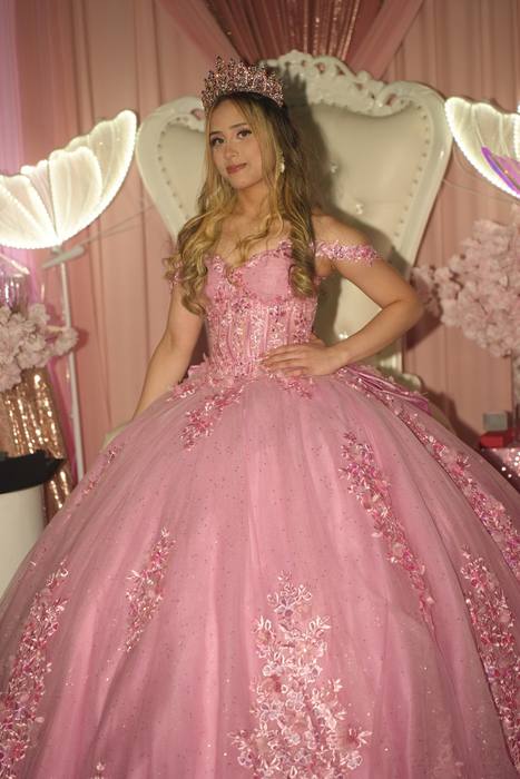 Foto de los XV años de Michell