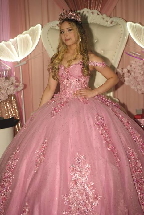 Foto de los XV años de Michell