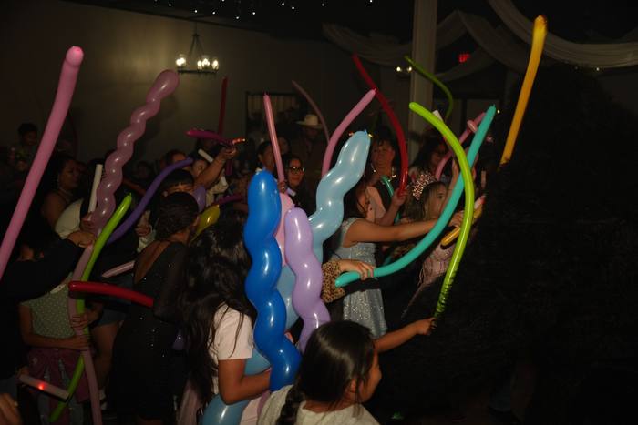 Foto de los XV años de Michell