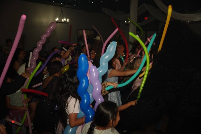 Foto de los XV años de Michell