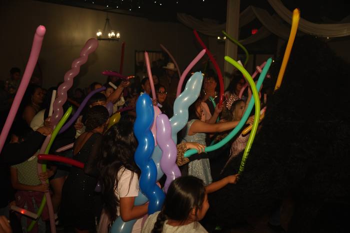 Foto de los XV años de Michell