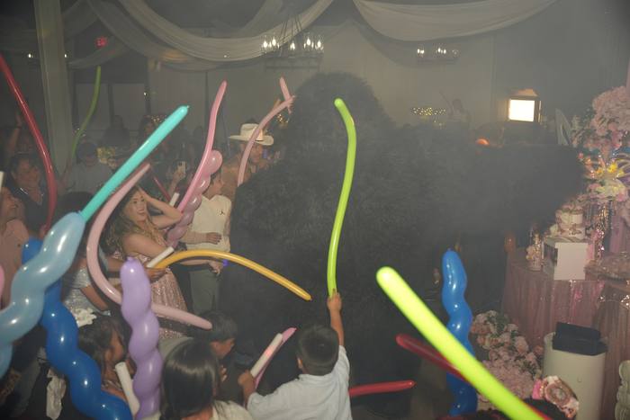Foto de los XV años de Michell
