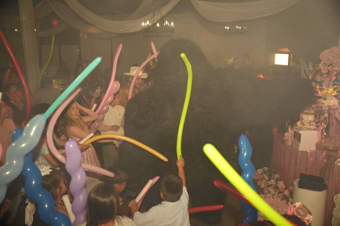 Foto de los XV años de Michell
