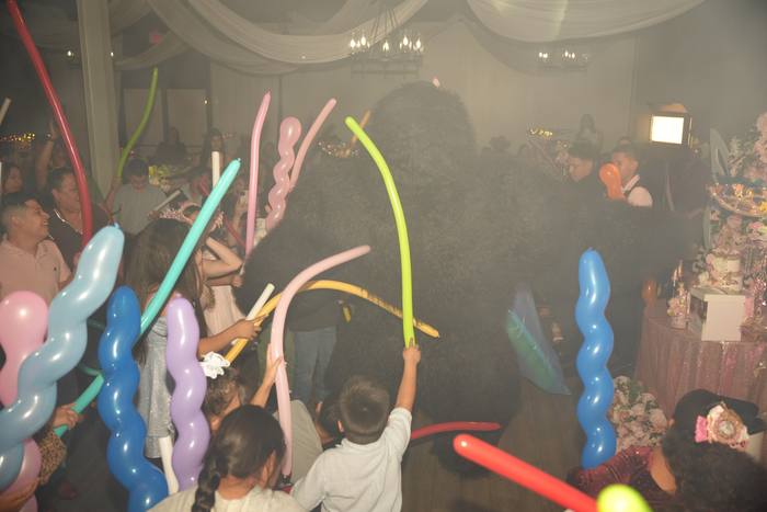 Foto de los XV años de Michell