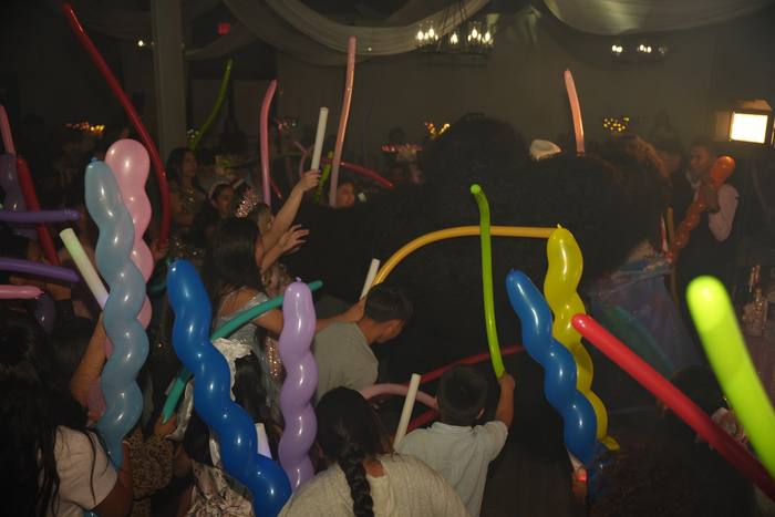 Foto de los XV años de Michell
