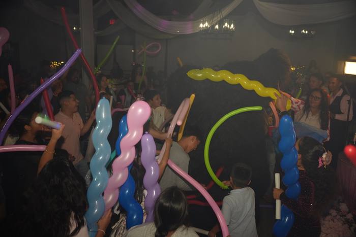 Foto de los XV años de Michell