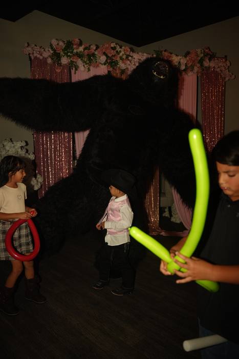Foto de los XV años de Michell