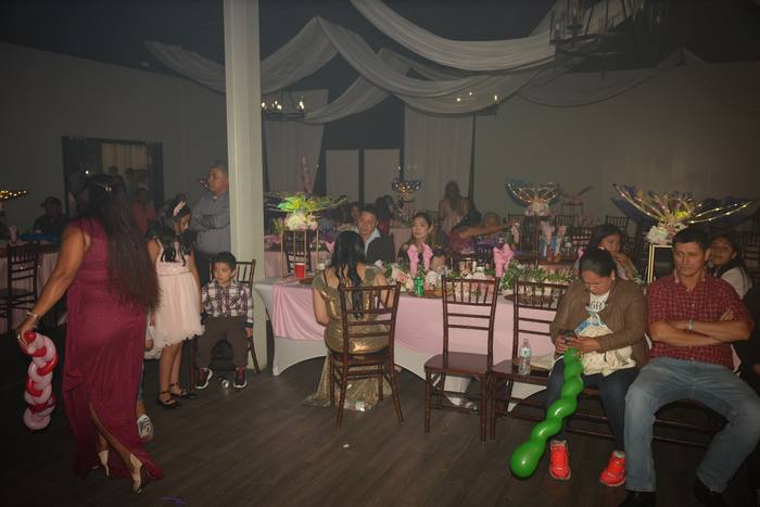 Foto de los XV años de Michell