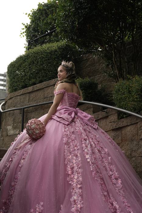 Foto de los XV años de Michell