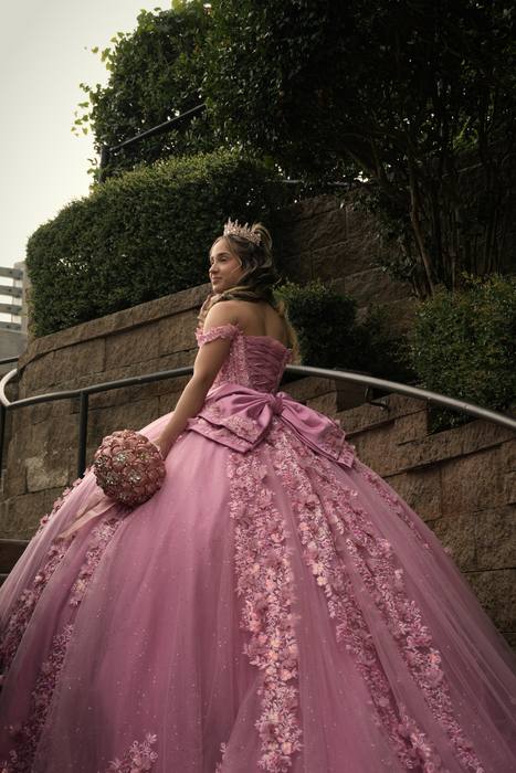 Foto de los XV años de Michell
