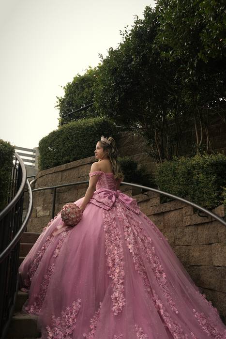 Foto de los XV años de Michell