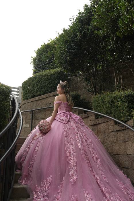 Foto de los XV años de Michell