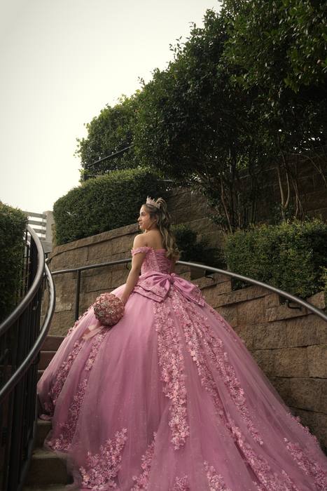 Foto de los XV años de Michell