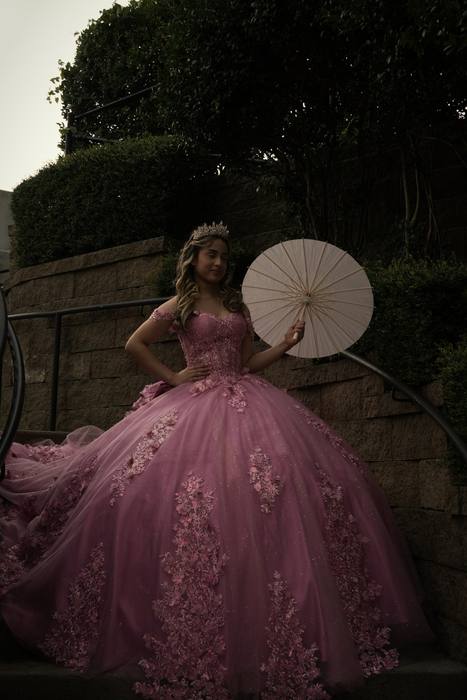 Foto de los XV años de Michell