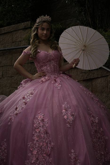 Foto de los XV años de Michell