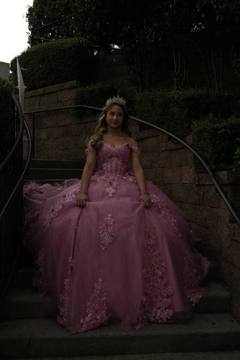 Foto de los XV años de Michell