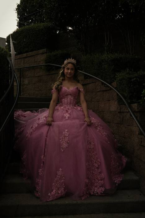 Foto de los XV años de Michell