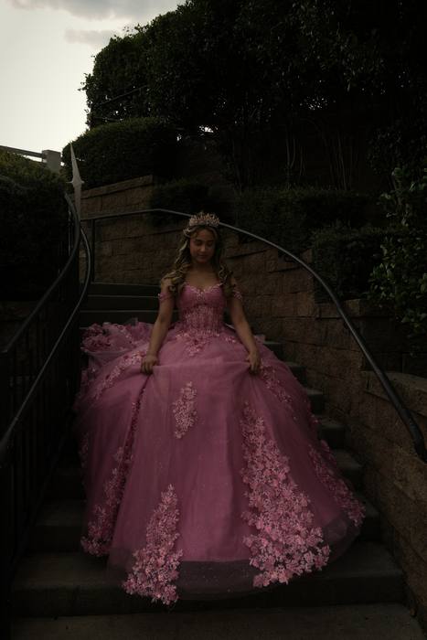 Foto de los XV años de Michell