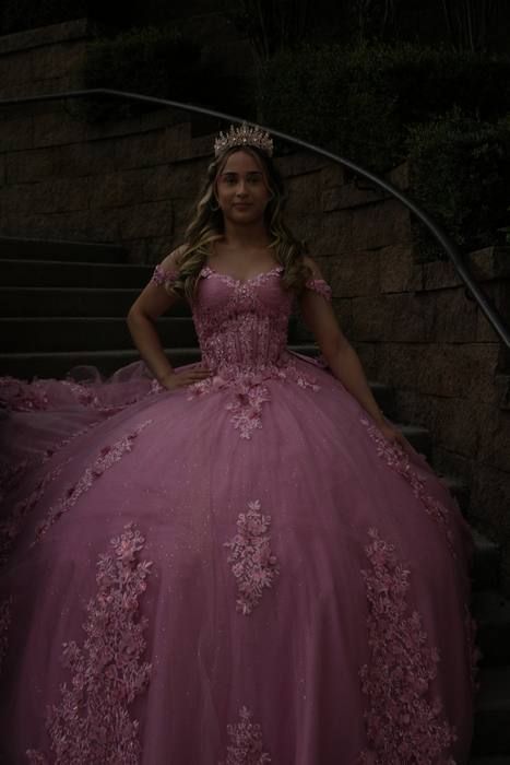 Foto de los XV años de Michell