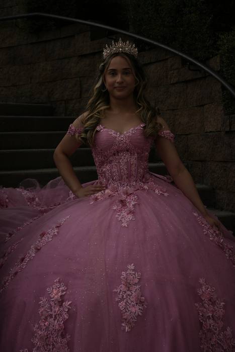 Foto de los XV años de Michell