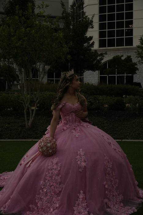 Foto de los XV años de Michell