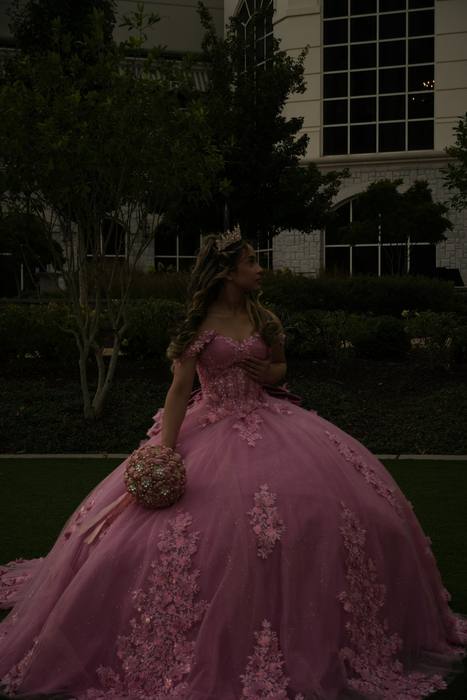 Foto de los XV años de Michell