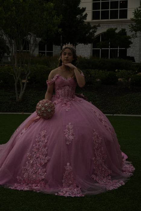 Foto de los XV años de Michell