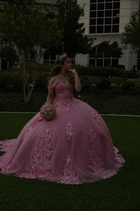 Foto de los XV años de Michell