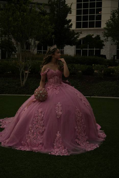 Foto de los XV años de Michell