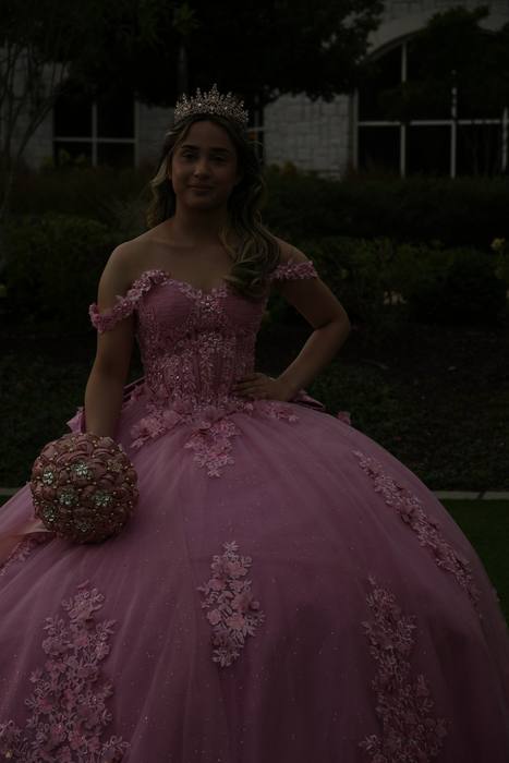Foto de los XV años de Michell