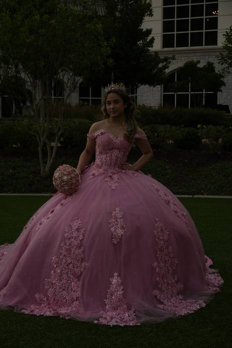 Foto de los XV años de Michell