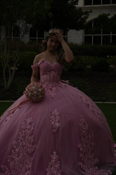 Foto de los XV años de Michell