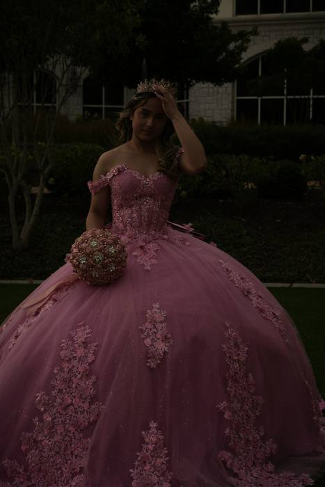 Foto de los XV años de Michell