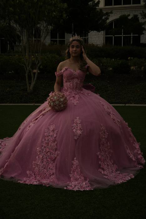 Foto de los XV años de Michell