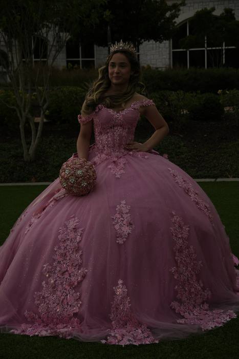 Foto de los XV años de Michell