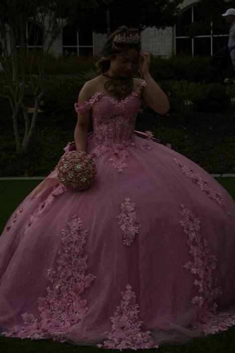 Foto de los XV años de Michell