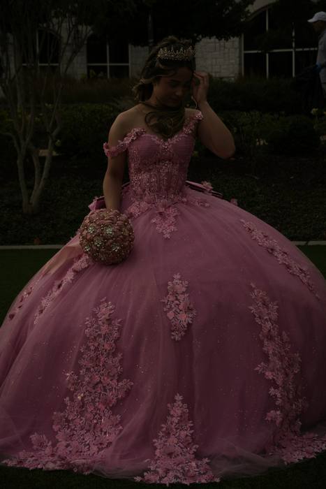 Foto de los XV años de Michell