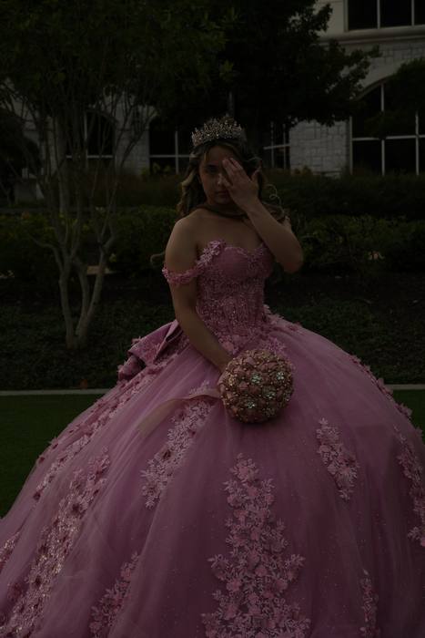 Foto de los XV años de Michell
