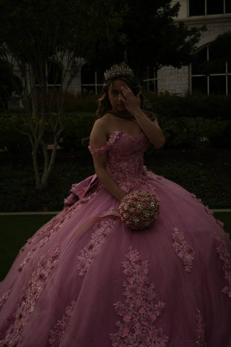 Foto de los XV años de Michell
